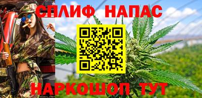 дмт Волгодонск