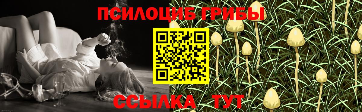 Галлюциногенные грибы Cubensis  где купить   Батайск  Вход с VPN 